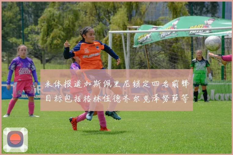 米体报道加斯佩里尼锁定四名前锋目标包括格林伍德齐尔克泽努萨等人