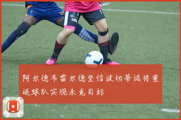 阿尔德韦雷尔德坚信波切蒂诺将重返球队实现未竟目标